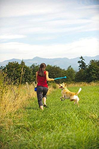 Whistler Ball Dog Toy, Large 3 Inch for Dogs 60-100 lbs V216335