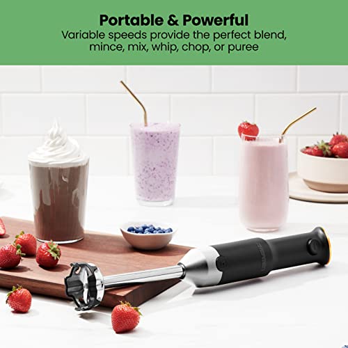 Cordless Portable Immersion Blender Set with Ice Crushing Power R42319