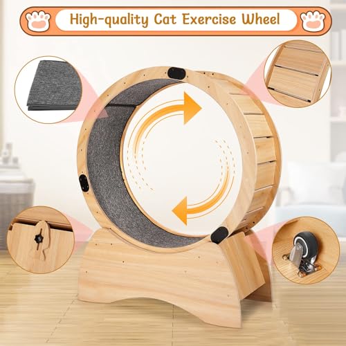 Cat Exercise Wheel - Indoor Wooden Running Wheel for Kitty C405