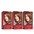 Revlon Colorsilk Beautiful Color Permanent Hair Color, Long-Lasting High-Definition Color, Shine & Silky Softness with 100% Gray Coverage, Ammonia Free, 82B Silver Blonde, 1 Pack