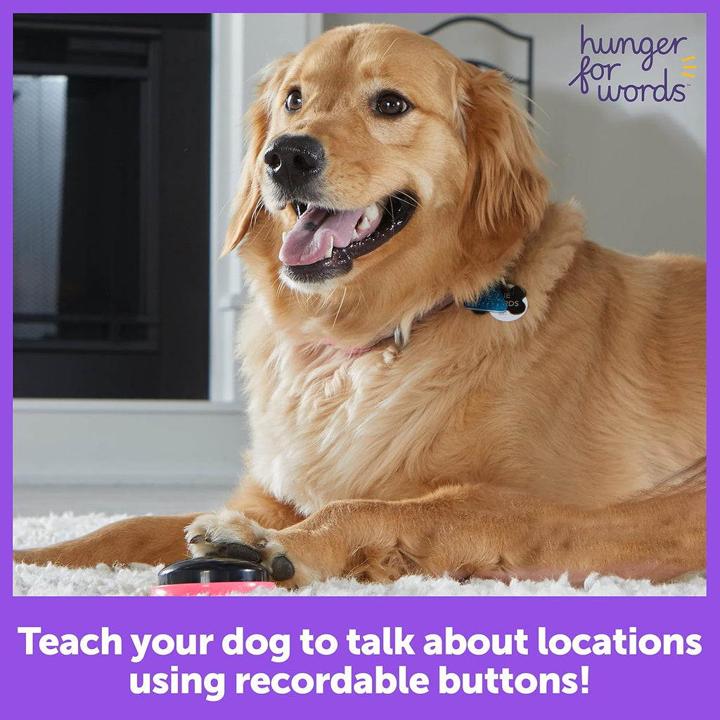 Recordable Speech Buttons for Dogs, 3 Piece Set R22390
