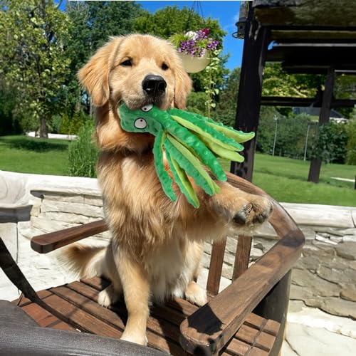 Squeaky Octopus Dog Toys for Small Medium Large Dogs, 2 Pack I860892
