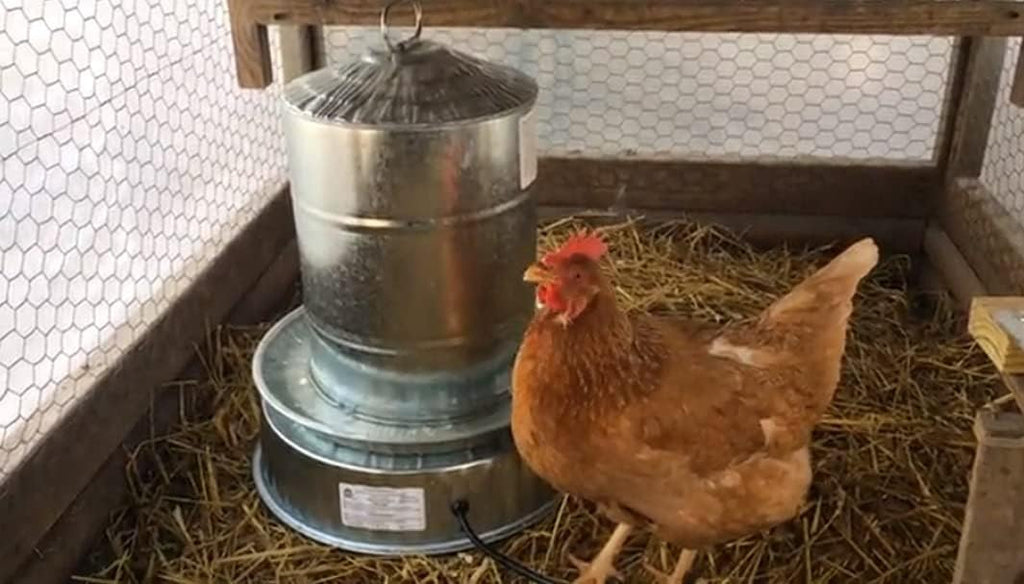 Chicken Water Heater Base for Poultry Drinker Stainless Steel Winter Deicer N83312