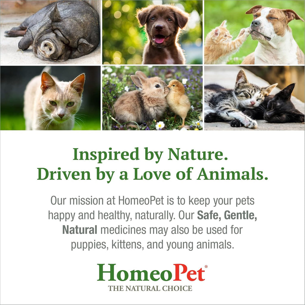 Cough Relief for Dogs, Cats, and Small Pets, 15 ml B61521