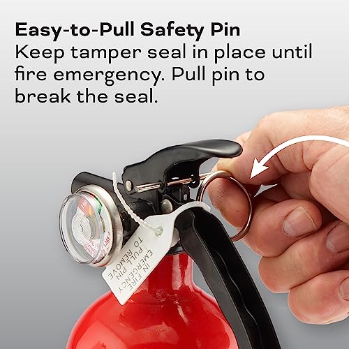Fire Extinguisher for Home & Office Use, 2-A:10-B:C, 7.13 Lbs. X49265