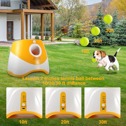 Automatic Ball Launcher for Dogs, Indoor Outdoor, 3 Speed, Small Medium Dogs B599856