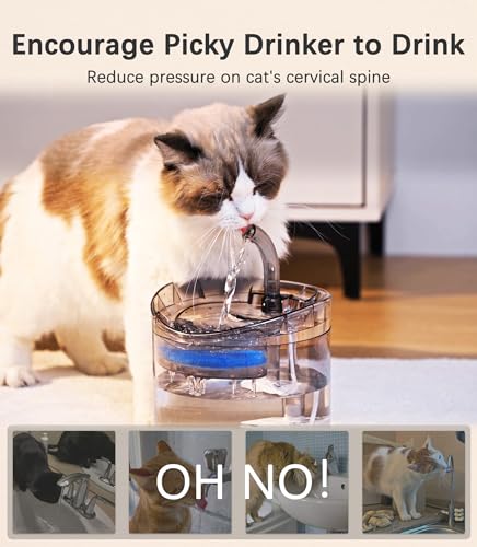 Cat Water Fountain 61OZ Automatic Pet Drinking Dispenser with Filters C226