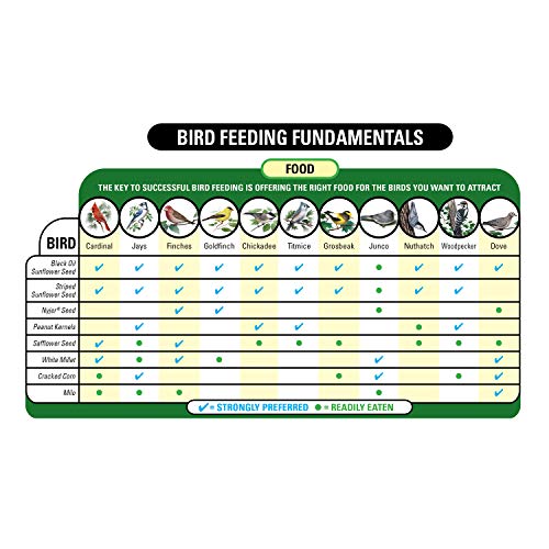 Wild Bird Food, 20-Pound Bag A641297