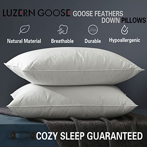 Queen Size Down Feather Pillow 2 Pack with Cotton Cover O830679