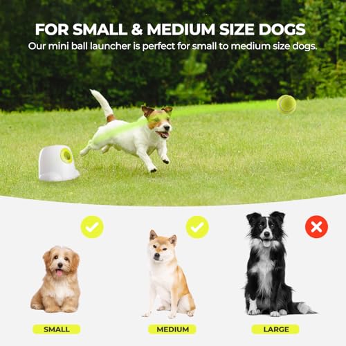 Automatic Ball Launcher for Small and Medium Dogs, 3 Balls Included R48097