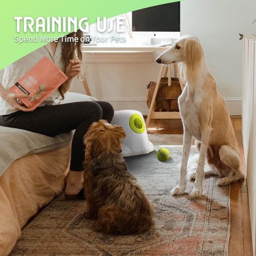 Automatic Ball Launcher for Dogs with 3 Tennis Balls H178976