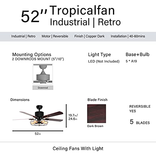 Caged Ceiling Fan with Lights Remote Control, 52" Industrial Black, 5 Reversible Blades L834504