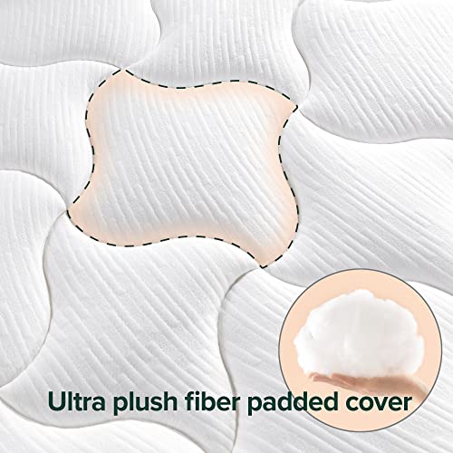 Queen Size 8 Inch Memory Foam Mattress, Fiberglass Free C102546