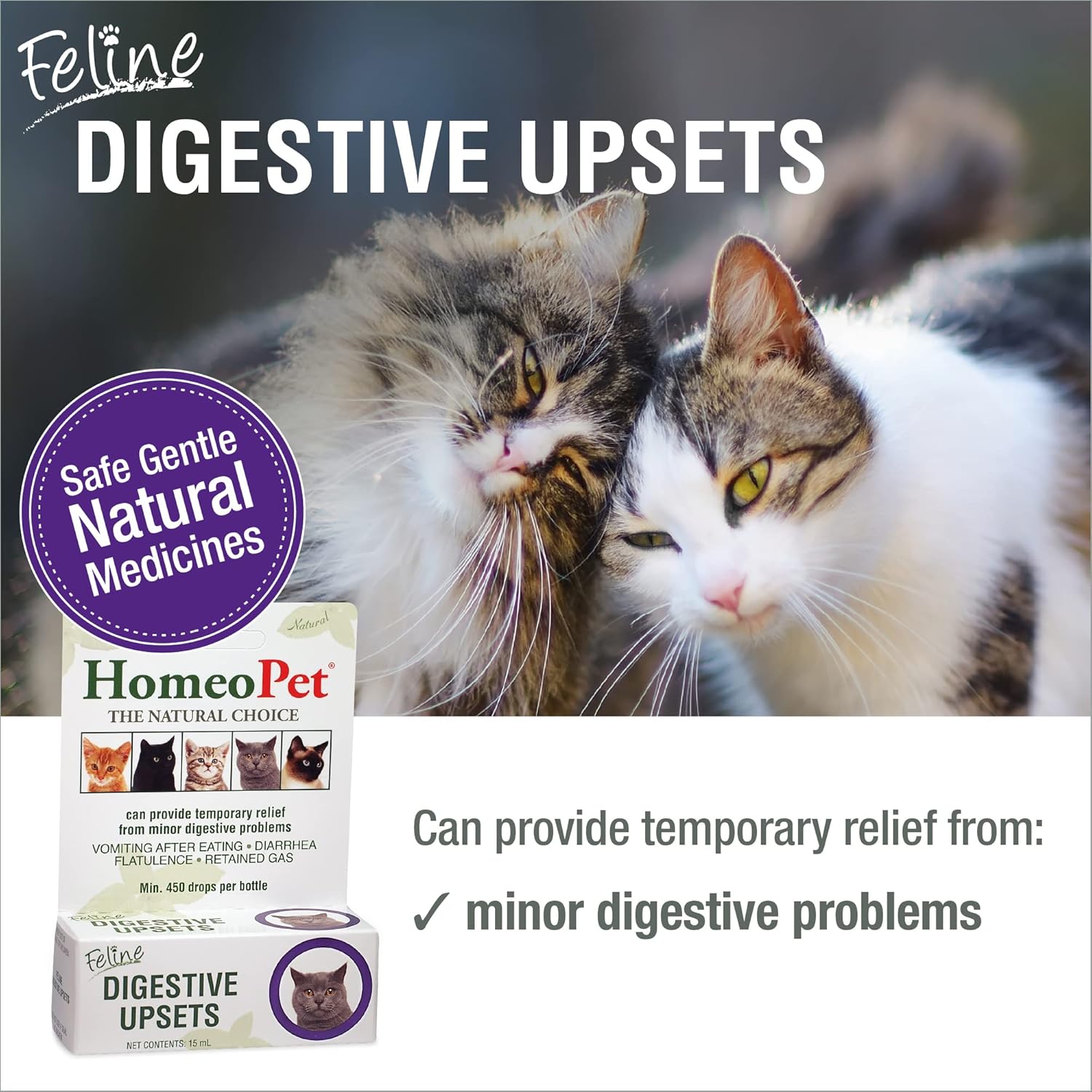 Feline Digestive Support for Cats and Kittens, 15 Milliliters N799107
