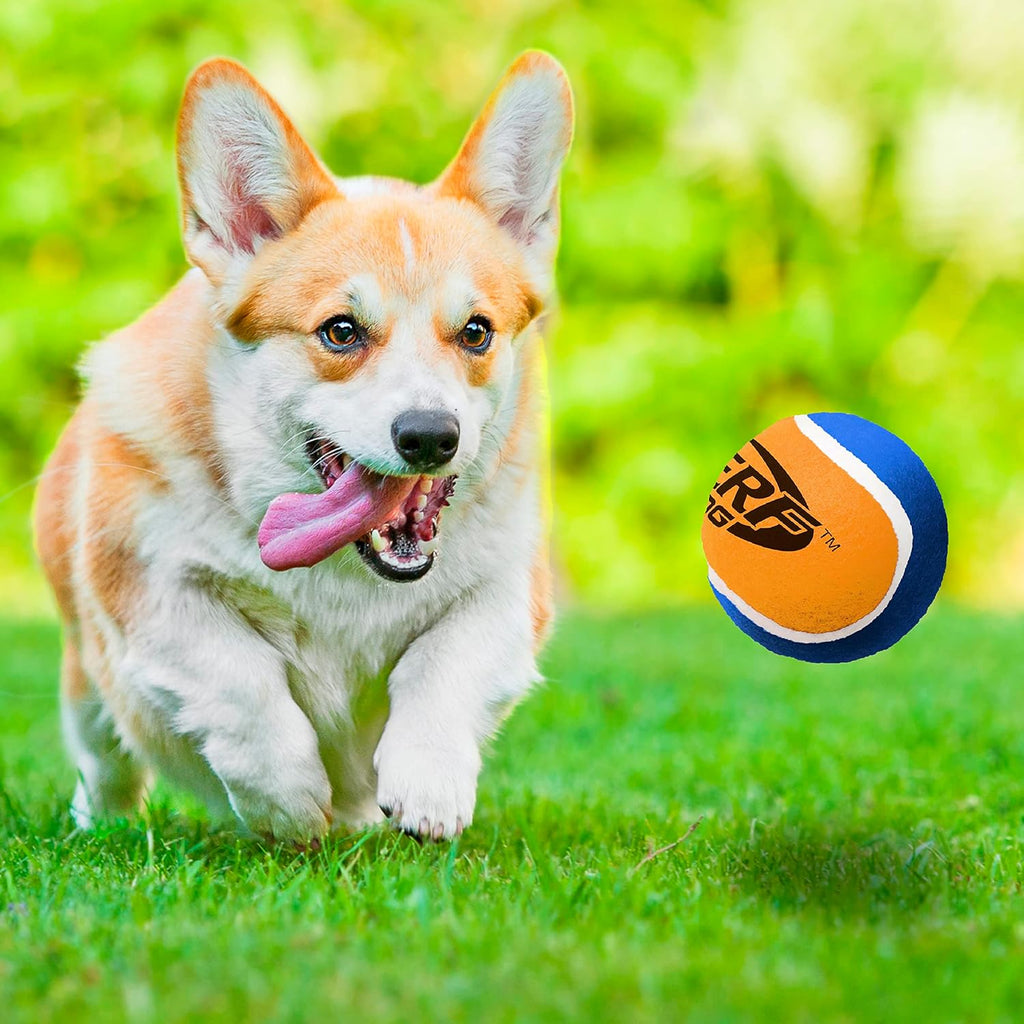 Dog Tennis Ball Toys with Squeaker, 3 Inches, Two Pack U706