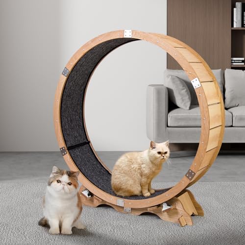43“Cat Wheel Exerciser for Indoor Cats,Easy to Build Cat Treadmill Wheel,Maple Wood Running Wheel,Large Cat Exercise Wheels,Pets Furniture, Cats Loss Weight Device,Large Pet Treadmill.
