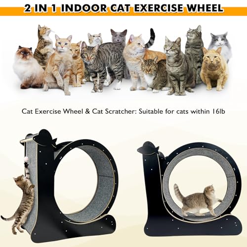 Cat Exercise Wheel for Indoor Cats with Silent TPE Roller A566