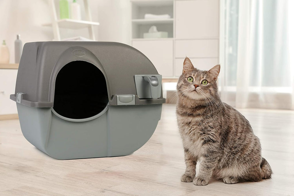 Self-Cleaning Litter Box, Regular, Taupe J40054
