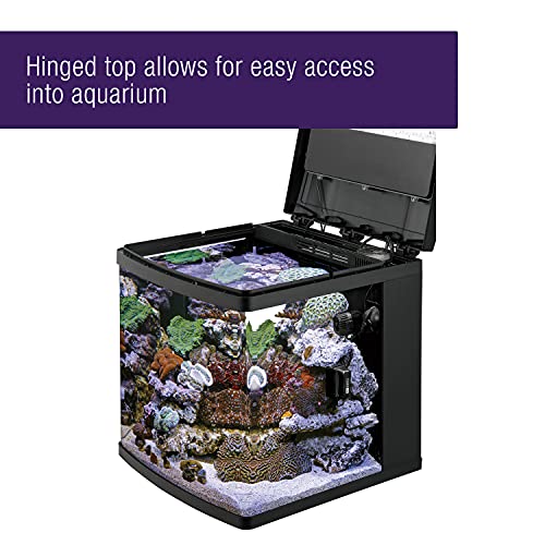 LED BioCube Aquarium Fish Tank Kit, 16 Gallon R351
