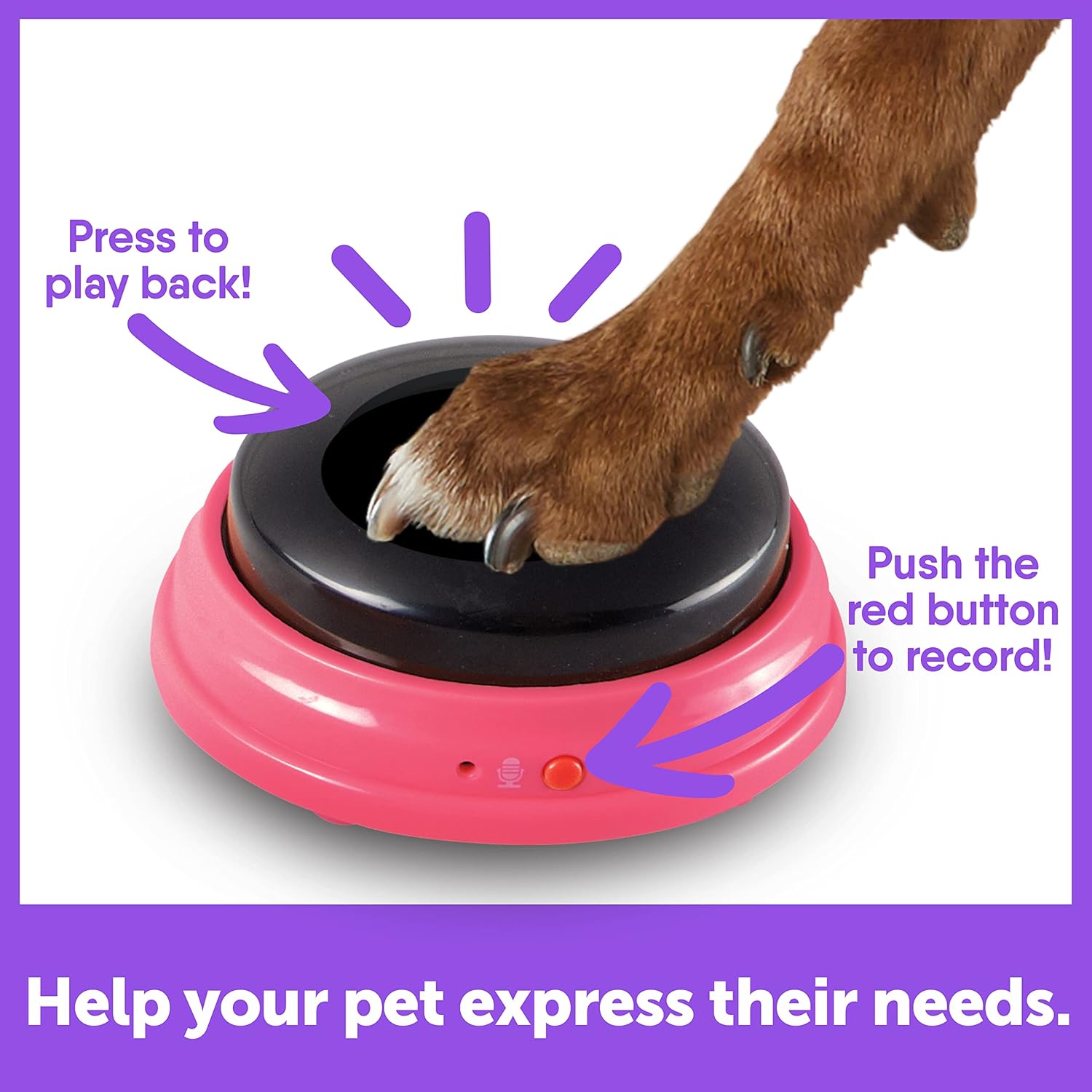 Recordable Speech Buttons for Dogs, 3 Piece Set R22390