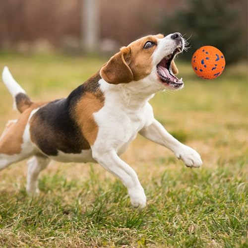 Dog Exercise Ball Pack Fetch Set Toy Balls Interactive Tennis Indestructible Durable Chew Outdoor Fun R221