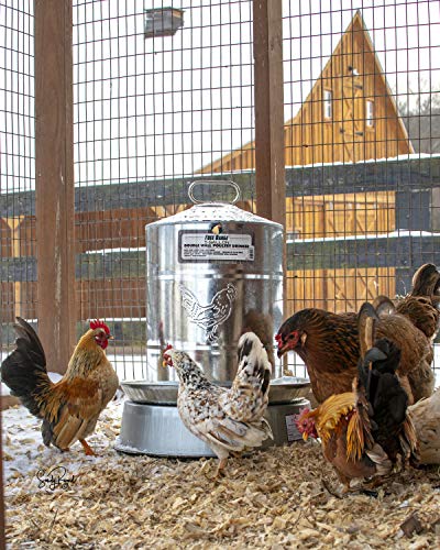 Heated Chicken Waterer Base for Poultry Coop Accessories H531