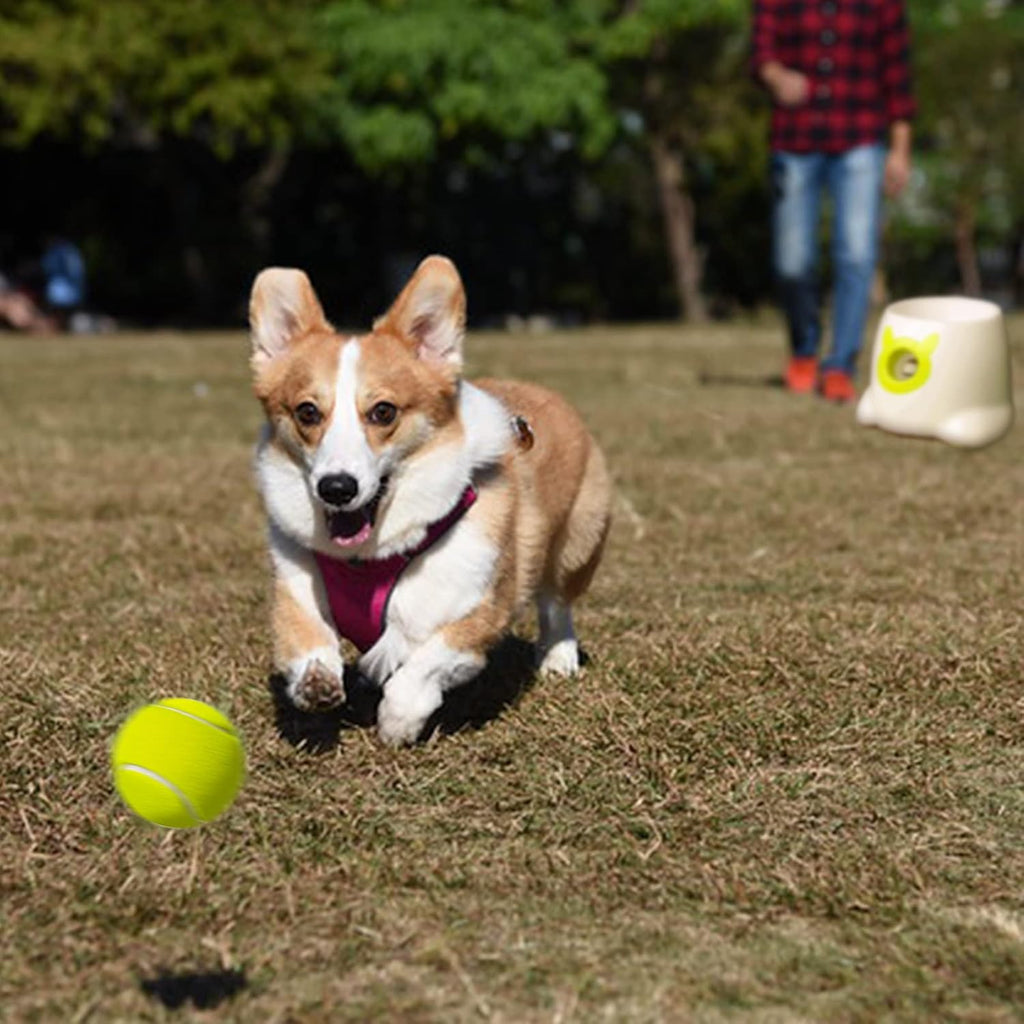 Small Tennis Balls for Dogs, 6 Pcs 1.97" Diameter Mini Balls C907