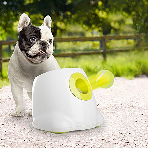 ALL FOR PAWS Dog Automatic Ball Launcher for Small and Medium Dogs, Dog Tennis Ball Throwing Machine, Dog Enrichment Toys for Boredom, 3 Balls Included
