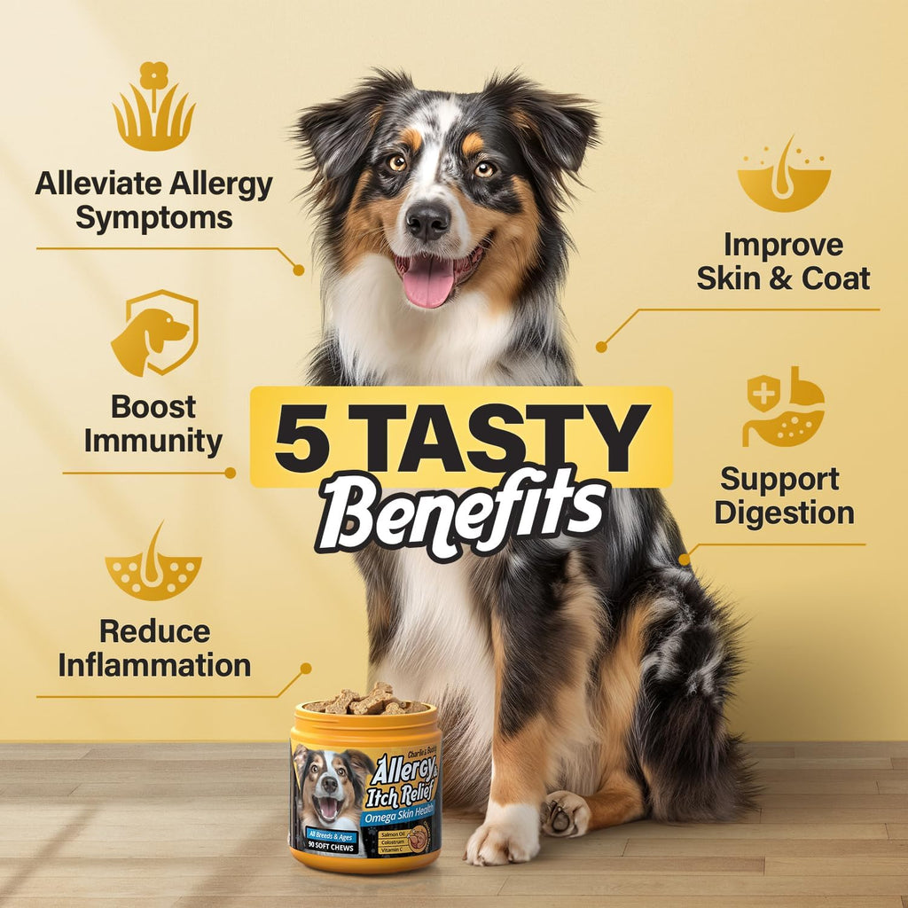 Dog Allergy Chews with Omega 3 and Probiotics, Chicken Flavor M8558