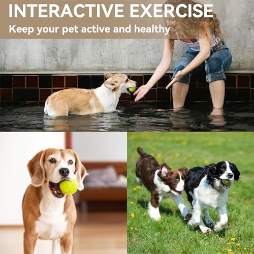 Automatic Dog Ball Thrower with 12 Tennis Balls, Interactive Fetch Toy for Small Dogs X245