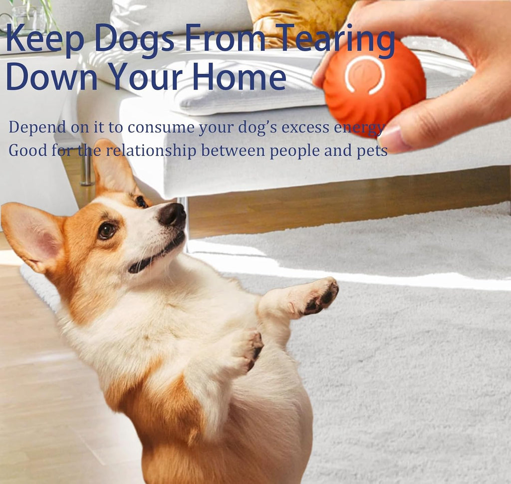 Interactive Dog Toy Ball, Rechargeable, Motion Activated S179