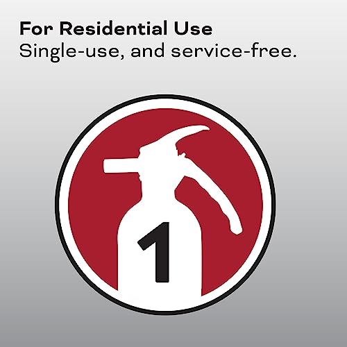 Fire Extinguisher for Home & Office Use, 2-A:10-B:C, 7.13 Lbs. X49265