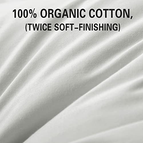 Queen Size Down Feather Pillow 2 Pack with Cotton Cover O830679