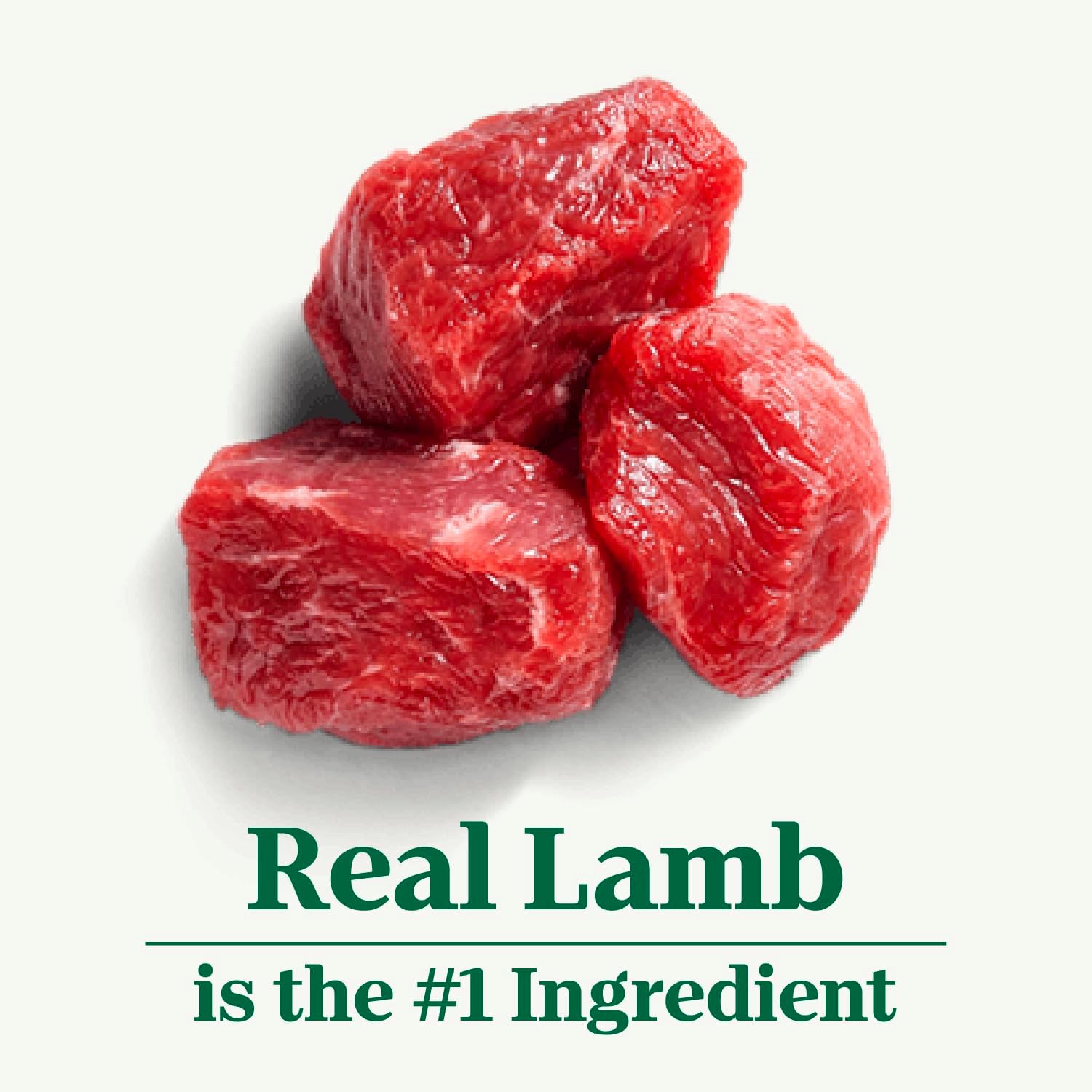 Small Bites Adult Dry Dog Food, Lamb and Brown Rice Recipe, 12 lbs. W25360