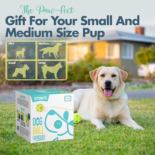 Automatic Dog Ball Launcher with 6 Latex Balls for Small to Medium Dogs P495