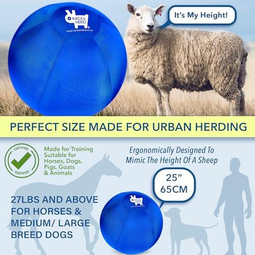 Herding Ball for Dogs Small & Puppies, 18" Complete Set Dog Toy O62925
