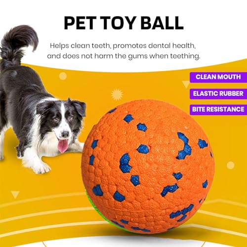 Dog Exercise Ball Pack Fetch Set Toy Balls Interactive Tennis Indestructible Durable Chew Outdoor Fun R221