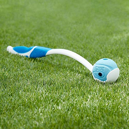 Whistler Ball Dog Toy, Large 3 Inch for Dogs 60-100 lbs V216335