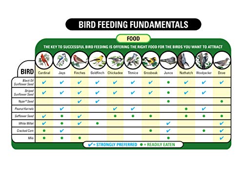 Wild Bird Food, 20-Pound Bag N777227