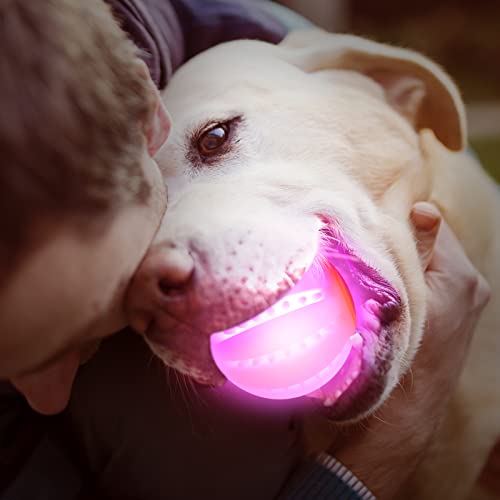 LED Dog Ball, Glowing Interactive Toy with USB Rechargeable A5400