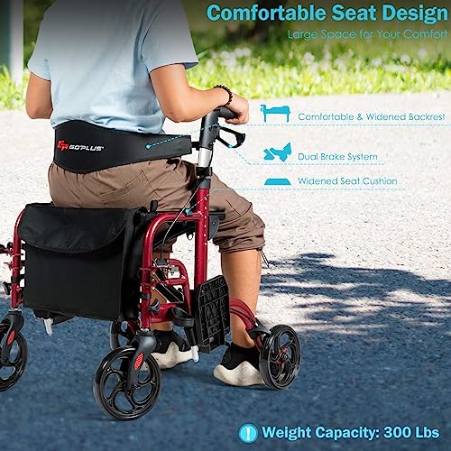 2 in 1 Rollator Walker with Seat for Seniors, Folding, 8-inch Wheels I124
