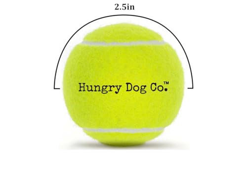 Dog Tennis Balls 2.5" for Exercise and Training with Mesh Bag C5979