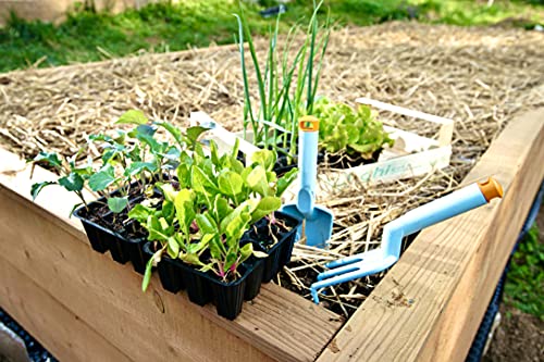 Organic Seedless Garden Straw Mulch Cover, 120 sq. ft. K432525