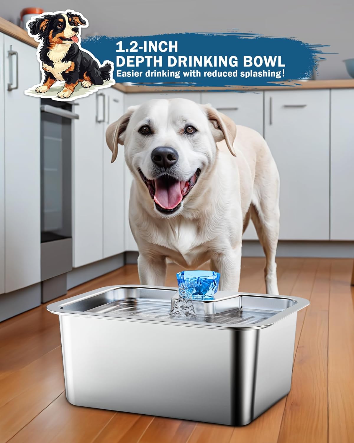 Stainless Steel Dog Water Fountain for Large Dogs, 3 Gallon with 2 Filters E635