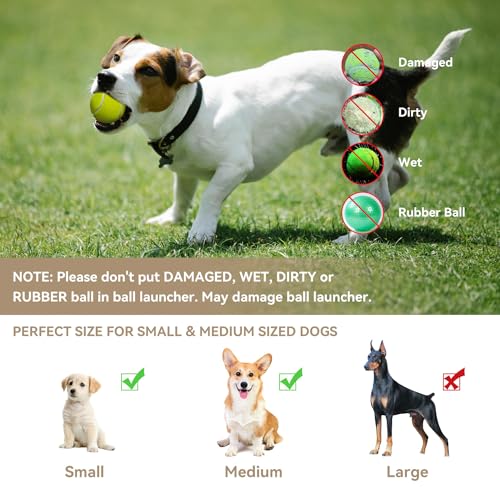 Automatic Dog Ball Thrower with 12 Tennis Balls, Interactive Fetch Toy for Small Dogs X245