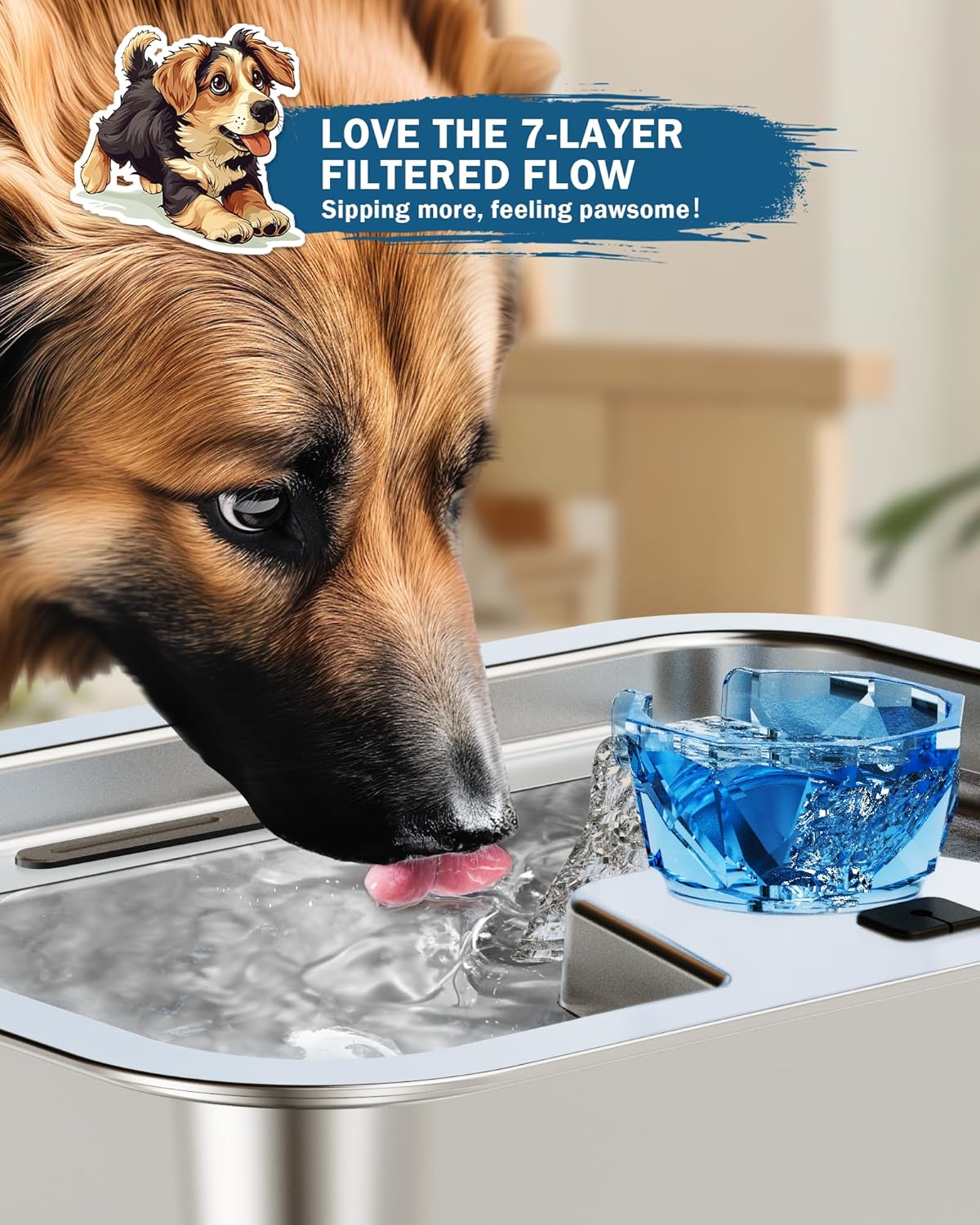 Stainless Steel Dog Water Fountain for Large Dogs, 3 Gallon with 2 Filters E635