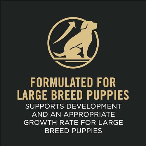 Large Breed Dry Puppy Food, Chicken and Rice Formula, 18 lb. Bag Z9086