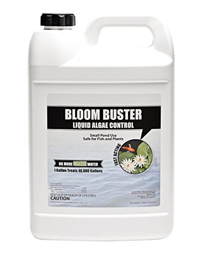 Bloom Buster Pond Algae Control - 64oz - Fast Acting Algaecide, Use in Fountains & Outdoor Ponds Containing Koi & Other Fish - EPA Registered