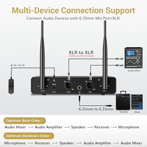 Wireless Microphone System with Receiver for Karaoke and Singing Y613740