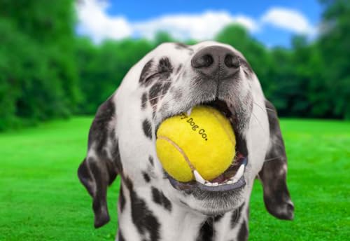 Dog Tennis Balls 2.5" for Exercise and Training with Mesh Bag C5979